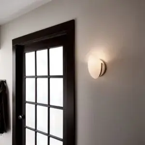 Satin-Etched-Wall-Sconce-1